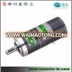 24V 60W DC motor 3000rpm